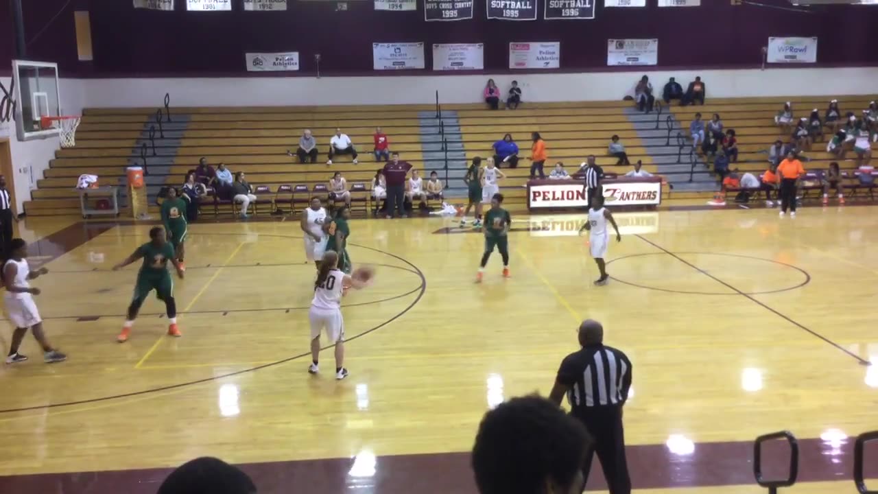 Pelion High School vs. Eau Claire Kayla Ennis highlights