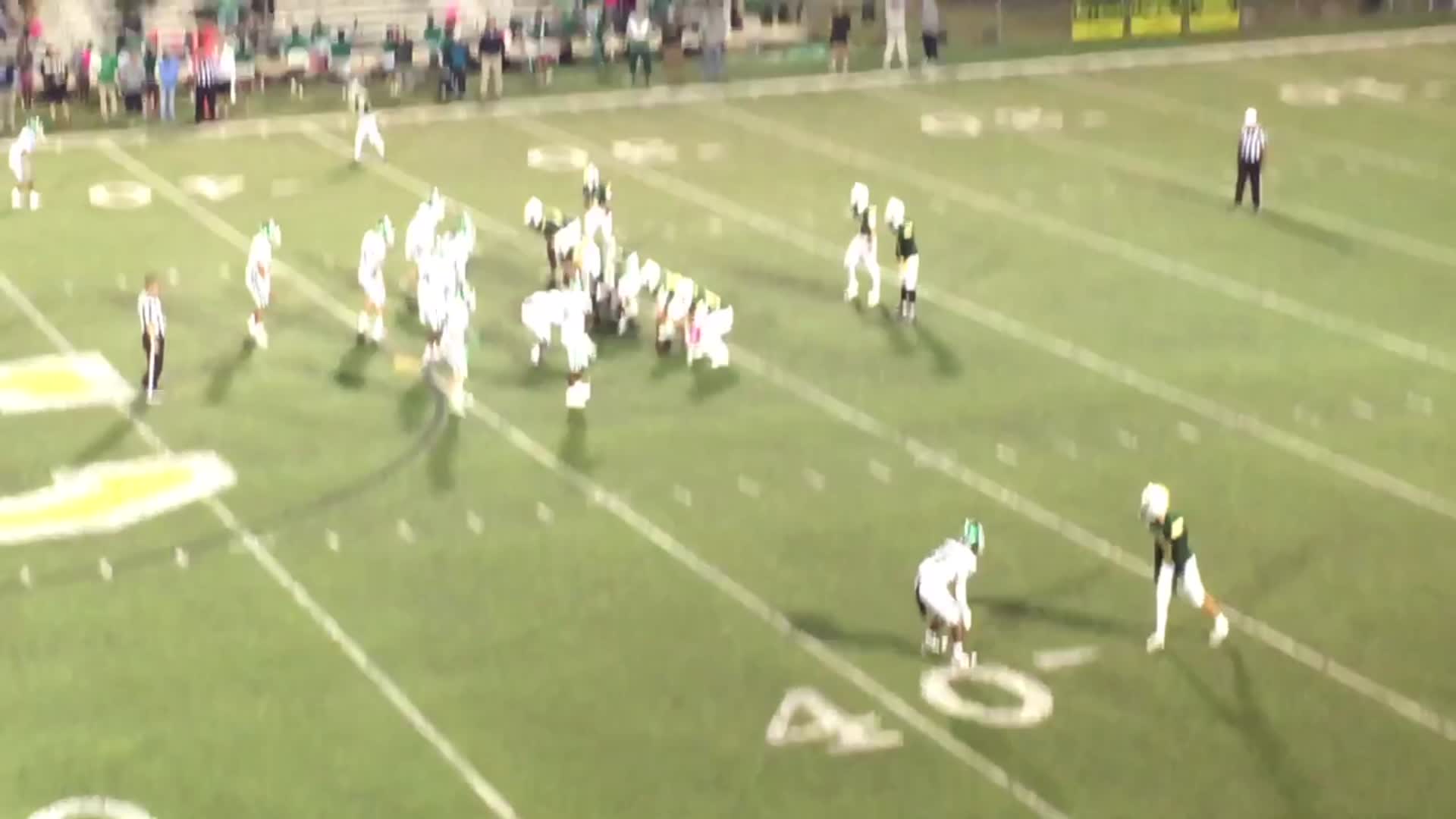 A.L. Brown 19 carries 149 1TD 2 rec 40yd