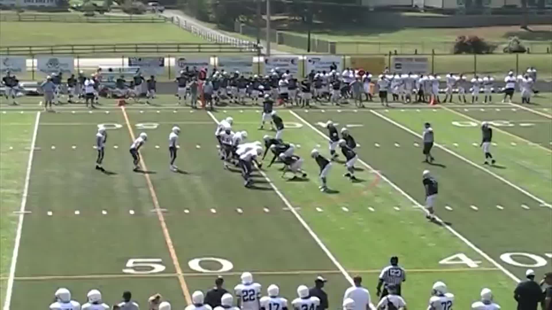 vs. Chesapeake Robert Milie highlights Hudl
