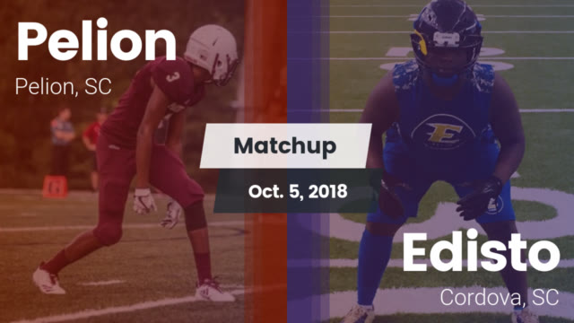 Boys Varsity Football Pelion High School Pelion South